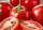 tomatoes-5