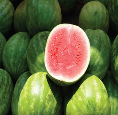 melon